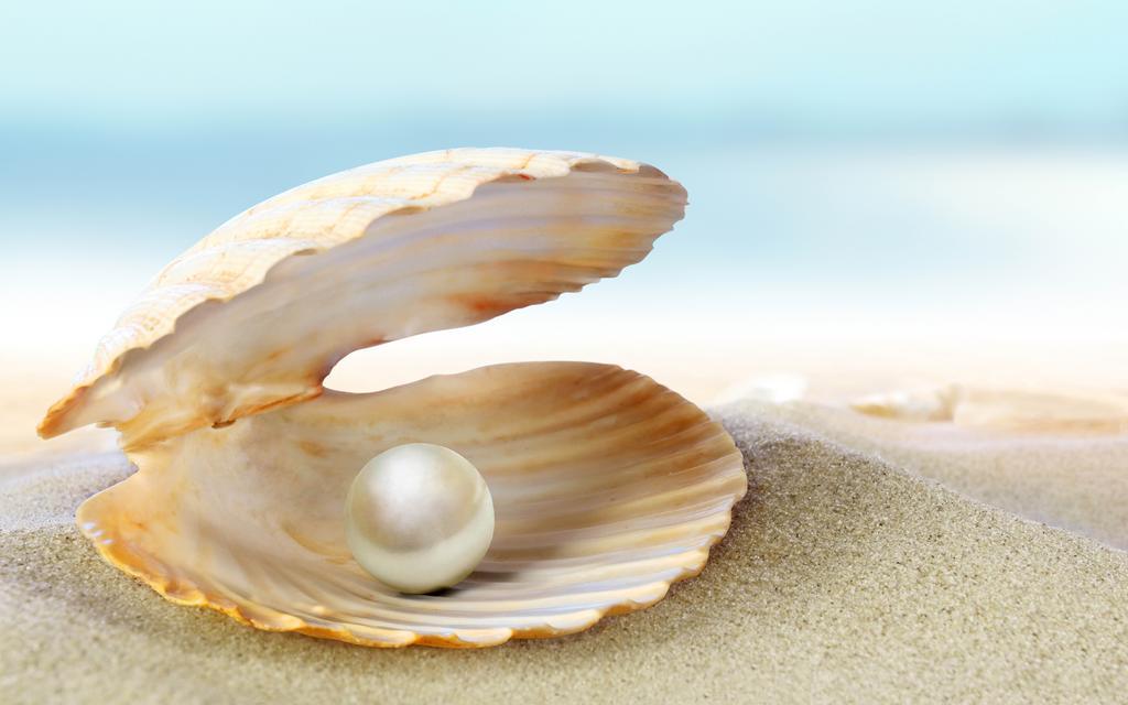 Die Perle Zandvoort Pokój zdjęcie